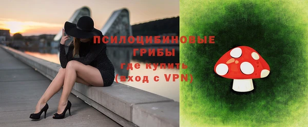 бошки Краснотурьинск