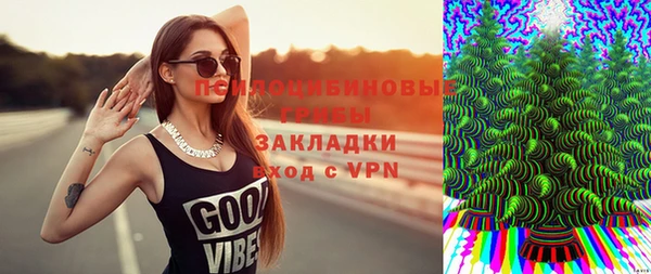 ALPHA PVP Козельск