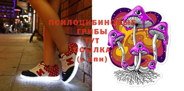 ALPHA PVP Козельск