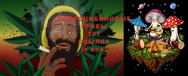 ALPHA PVP Козельск