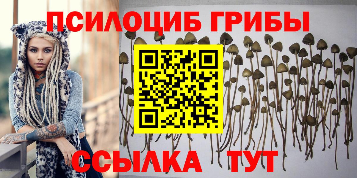 Галлюциногенные грибы прущие грибы  Вход с VPN  Кумертау 