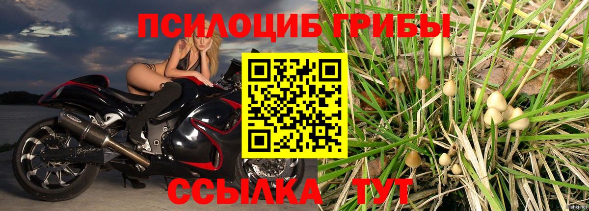 Галлюциногенные грибы прущие грибы Кумертау